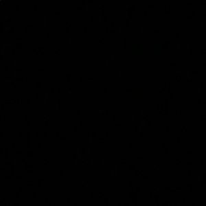 Meet your Posher, Jae